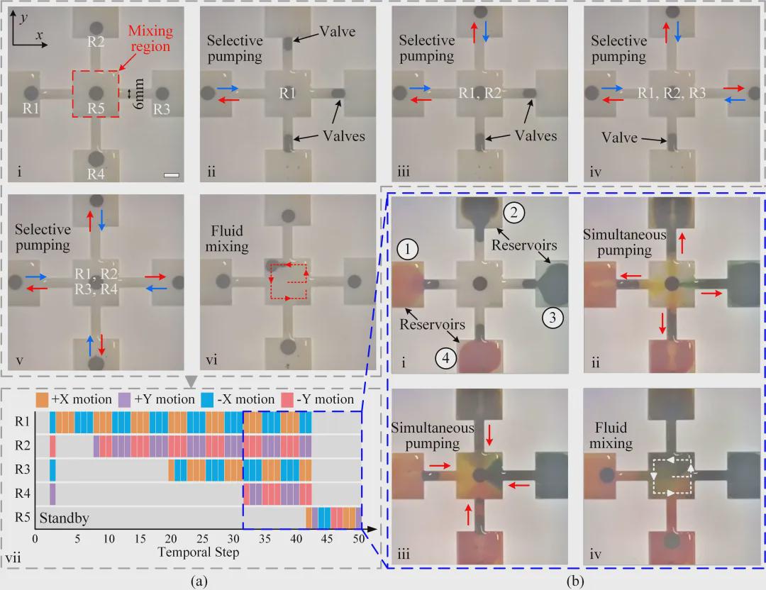 T-RO收录！清华团队可编程平台实现磁流体液滴机器人微尺度 “群体智能” 突破(图11)